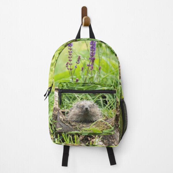 Item preview, Harry the Hedgehog designed and sold by Jane Stanley Photography.