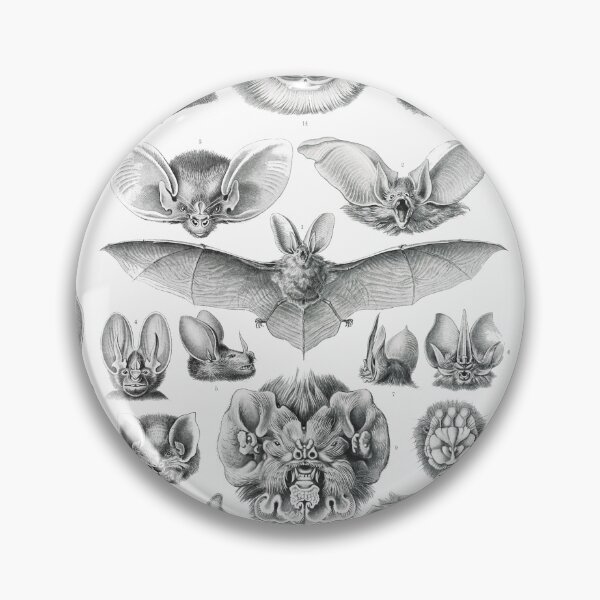 Artikelvorschau, Chiroptera–Fledertiere entworfen und verkauft von AntiquusForma.
