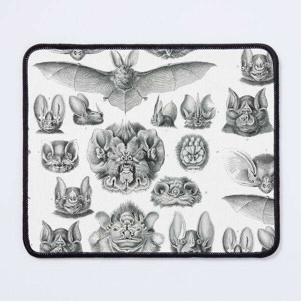Item preview, Chiroptera–Fledertiere designed and sold by AntiquusForma.