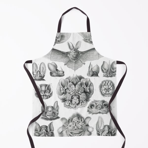 Item preview, Chiroptera–Fledertiere designed and sold by AntiquusForma.