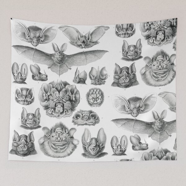 Item preview, Chiroptera–Fledertiere designed and sold by AntiquusForma.
