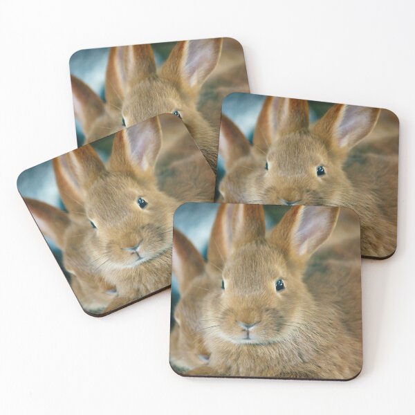 Artikelvorschau, Animal Bunny Cute Ohren Ostern entworfen und verkauft von livianasgifts.