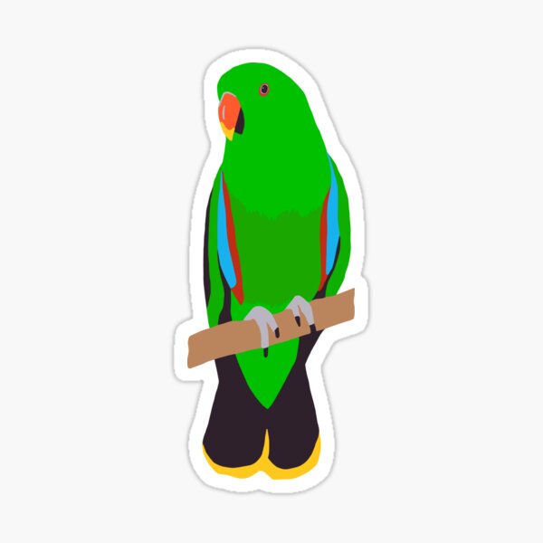 Item preview, Eclectus Parrot portrait - male designed and sold by GeoCreate.