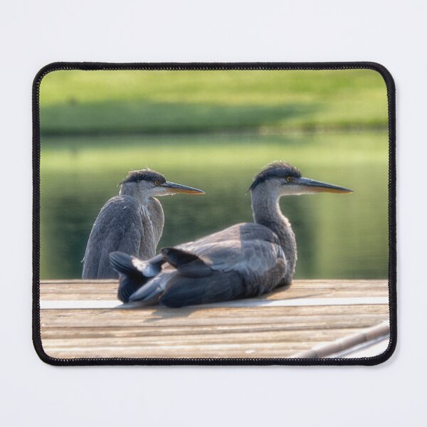 Item preview, Herons Keeping Watch designed and sold by Kathy Weaver.