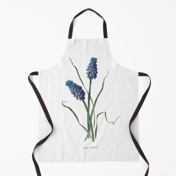 Item preview, Grape Hyacinth Print, Original Flower Print, Botanical Antique, Antique print, Grape Hyacinth Print Wall art, Grape Hyacinth Print Flower, Grape Hyacinth Prints designed and sold by Studio66Designs.