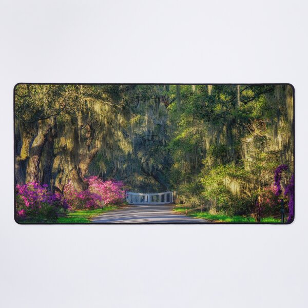 Item preview, Garden Entrance - Magnolia Plantation and Gardens designed and sold by Kathy Weaver.