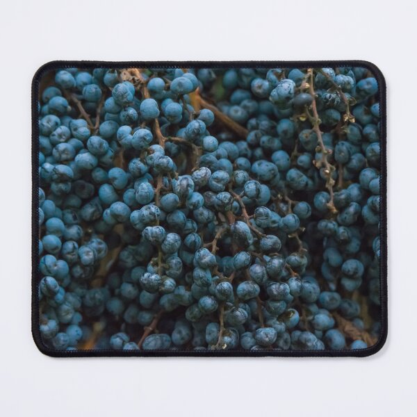 Item preview, Blueberries designed and sold by Elvira Draat.