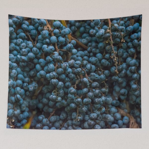 Item preview, Blueberries designed and sold by Elvira Draat.