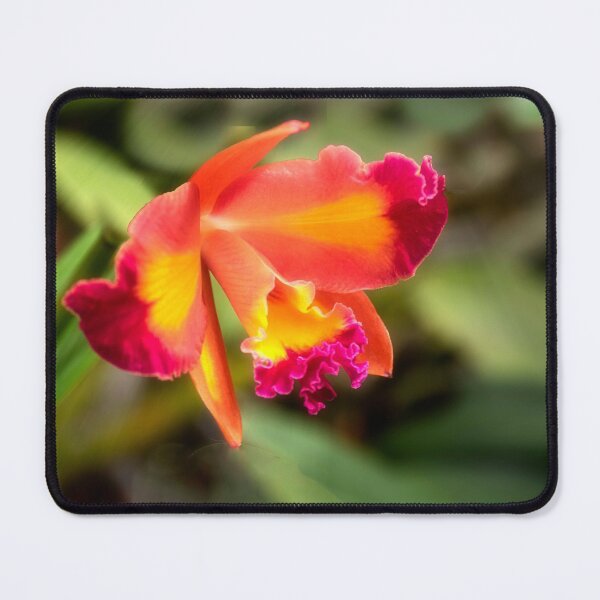 Item preview, The Orchid - Coastal Georgia Botanical Gardens designed and sold by Kathy Weaver.