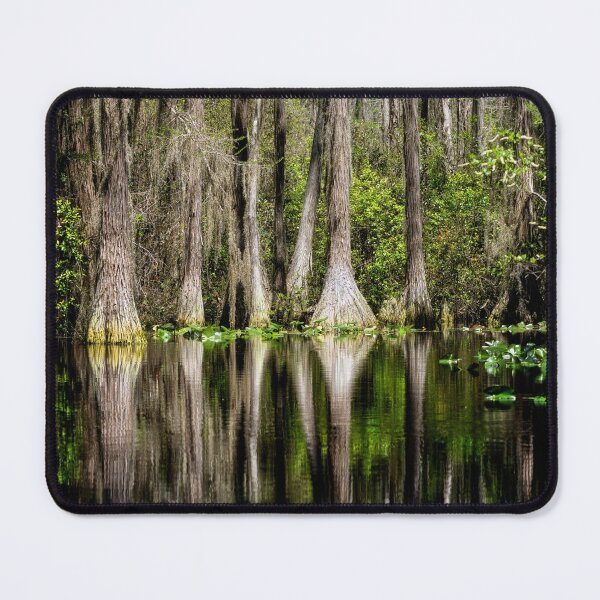 Item preview, Cypress trees in Okefenokee Swamp - Georgia designed and sold by Kathy Weaver.