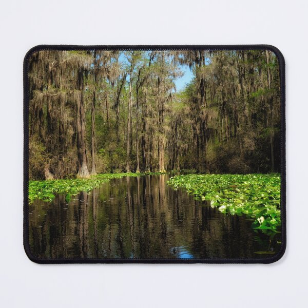 Item preview, Okefenokee Swamp National Wildlife Refuge designed and sold by Kathy Weaver.