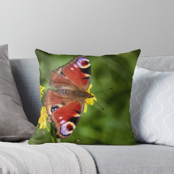 Item preview, European peacock on green designed and sold by Jouko Lehto Photography.