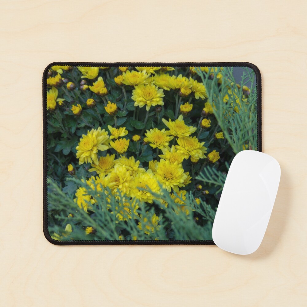 Floral Autumn arrangement. Chrysanthemums, yellow and dark purple, red Mouse Pad