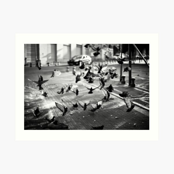 moment of takeoff Art Print