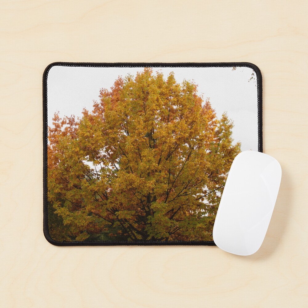 Autumn leaves in oranges and reds and greens. Fall colors tree Mouse Pad