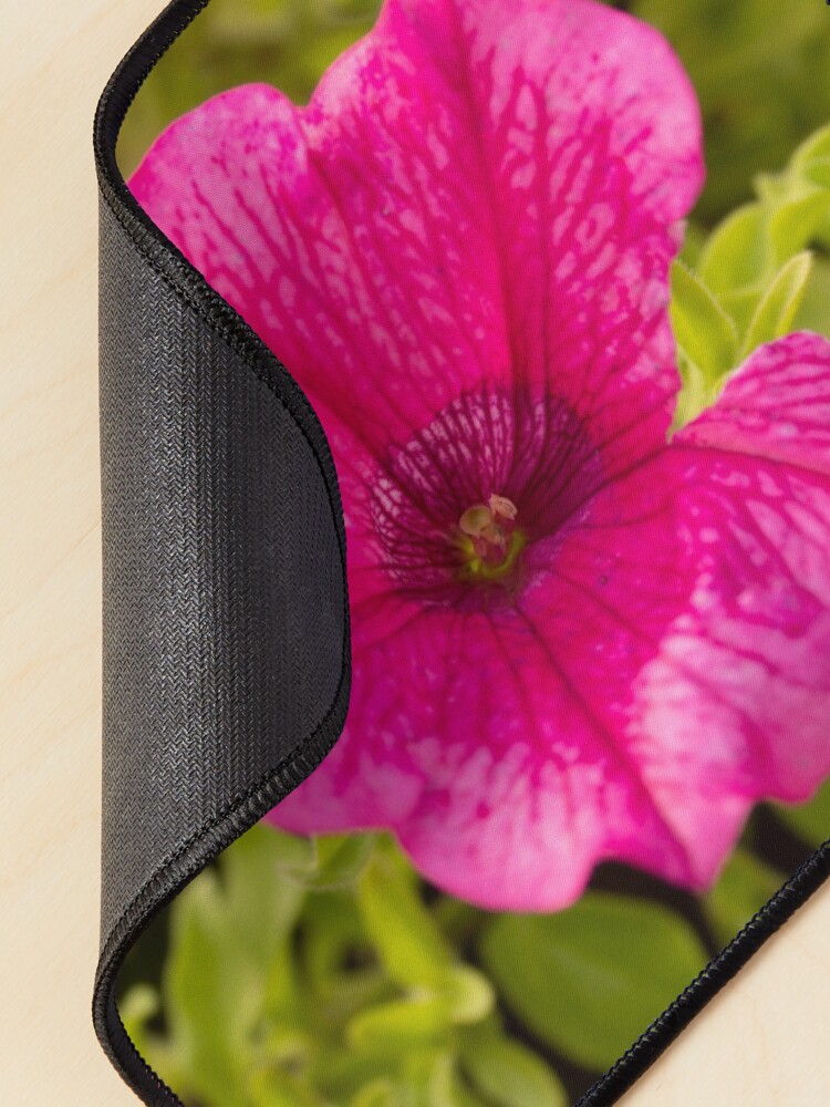 Alternate view of Petunia flower hot pink original photo Mouse Pad