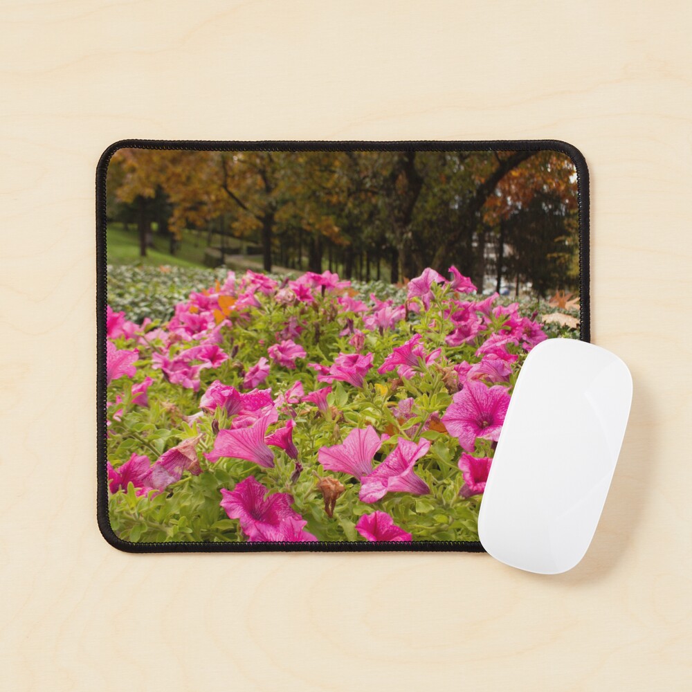 Petunia flower hot pink original photo Mouse Pad