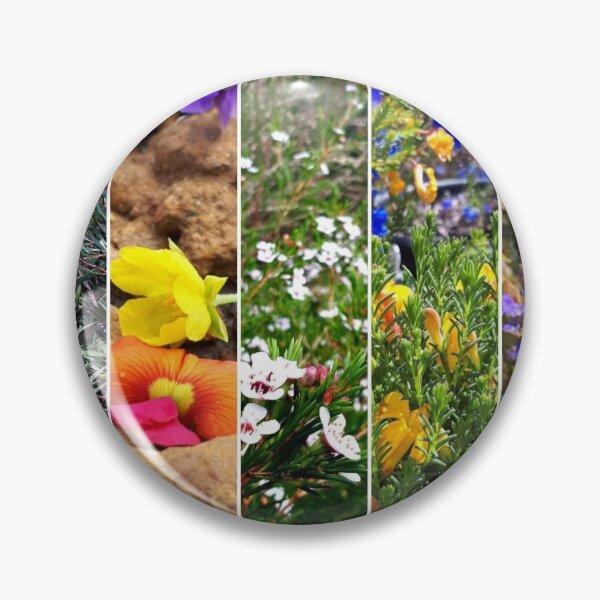 Item preview, South West Native Plants designed and sold by LCNNativePlants.