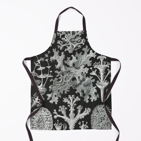 Item preview, Lichenes–Flechten  designed and sold by AntiquusForma.