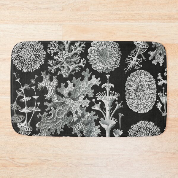Item preview, Lichenes–Flechten  designed and sold by AntiquusForma.