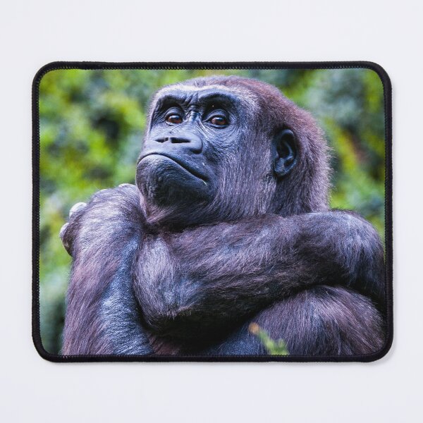 Item preview, Animal characters - the gorilla designed and sold by Ingo Gerlach.