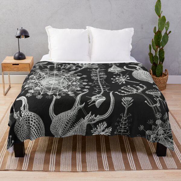 Item preview, Phaeodaria–Rohrstrahlinge designed and sold by AntiquusForma.