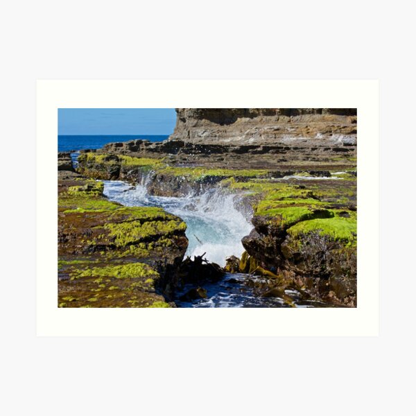 TASMAN PENINSULA ~ Tesselation and Water by tasmanianartist Art Print