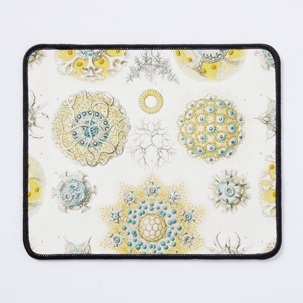 Item preview, Polycyttaria - Vereins - Strahlinge designed and sold by AntiquusForma.