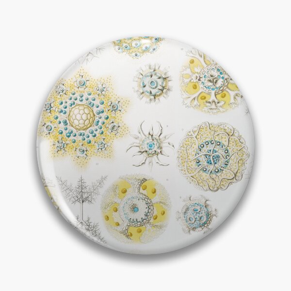 Item preview, Polycyttaria - Vereins - Strahlinge designed and sold by AntiquusForma.