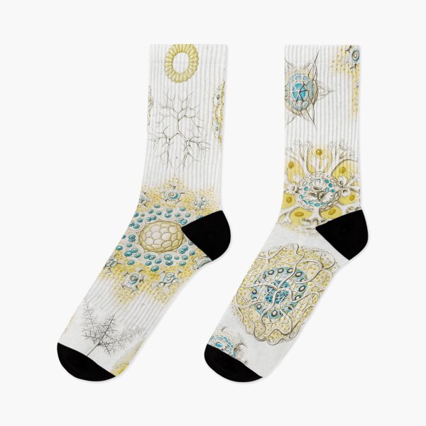 Item preview, Polycyttaria - Vereins - Strahlinge designed and sold by AntiquusForma.