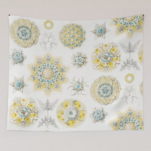 Item preview, Polycyttaria - Vereins - Strahlinge designed and sold by AntiquusForma.
