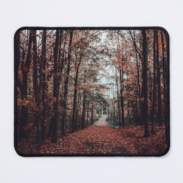 Item preview, Forest path designed and sold by OrionPhotograph.