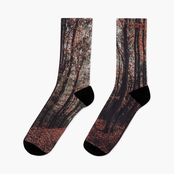 Item preview, Forest path designed and sold by OrionPhotograph.