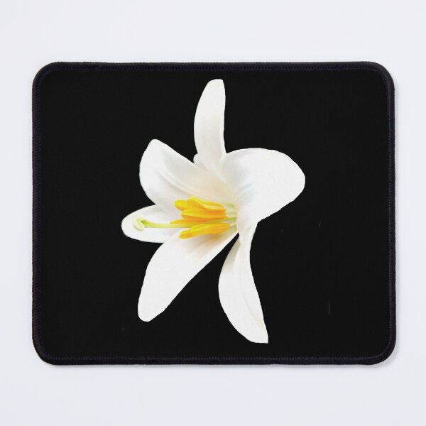 Isolated white lily Mouse Pad