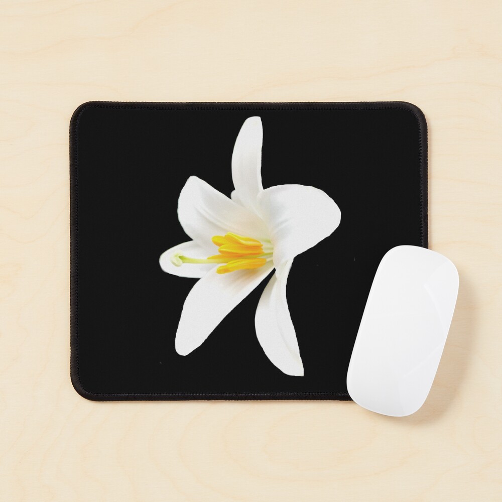 Isolated white lily Mouse Pad