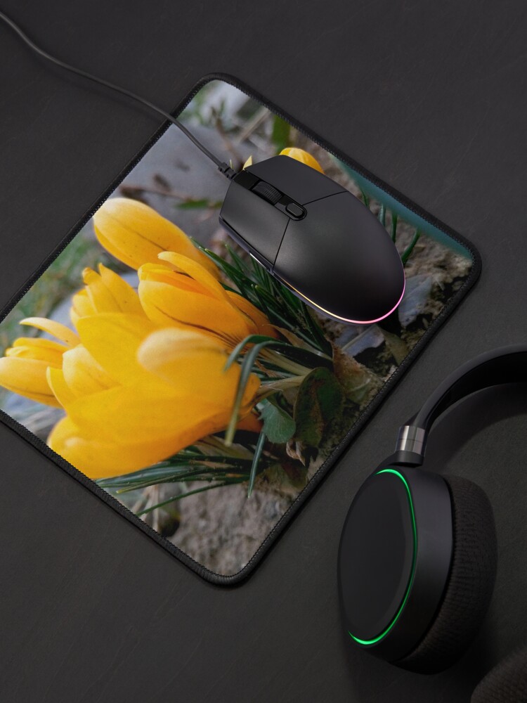 Alternate view of Delicate, yellow, spring flowers, seen from their level Mouse Pad