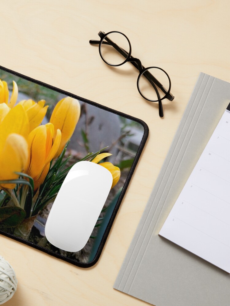 Alternate view of Delicate, yellow, spring flowers, seen from their level Mouse Pad