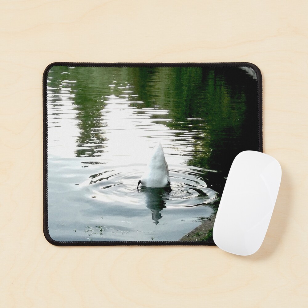 Duck with its head in the water and its white tail up on a lake with water with green reflections from the willows on the edge and blue from the sky Mouse Pad