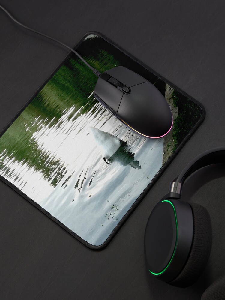 Alternate view of Duck with its head in the water and its white tail up on a lake with water with green reflections from the willows on the edge and blue from the sky Mouse Pad