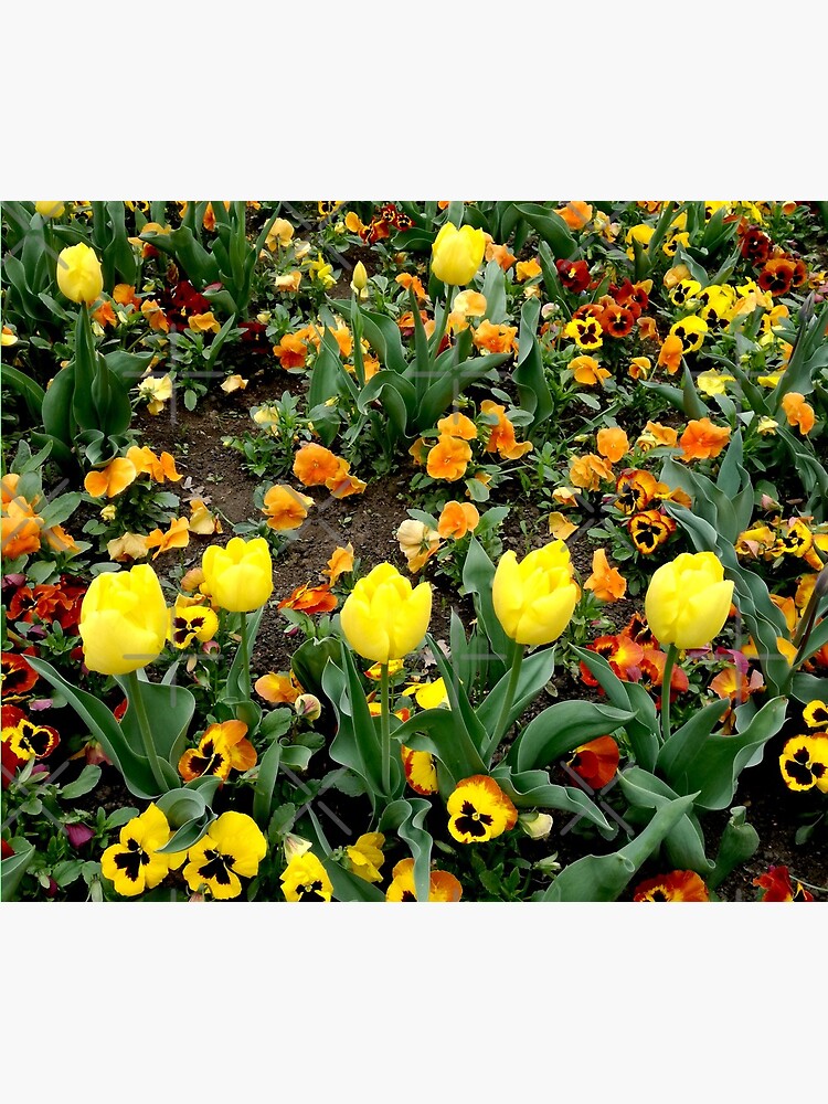Ask me about my plants. Childhood flower garden, mixture of all colors, nature, relaxation by CWartDesign