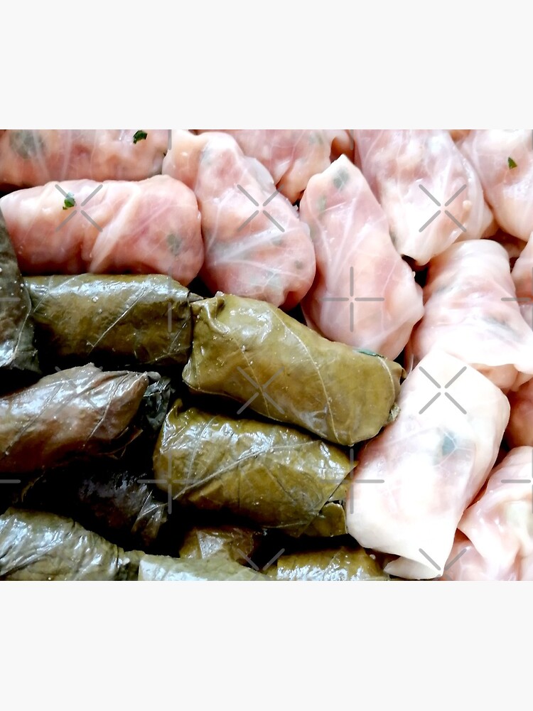 Romanian sarmale with vines and cabbage, traditional food, spring rolls by CWartDesign