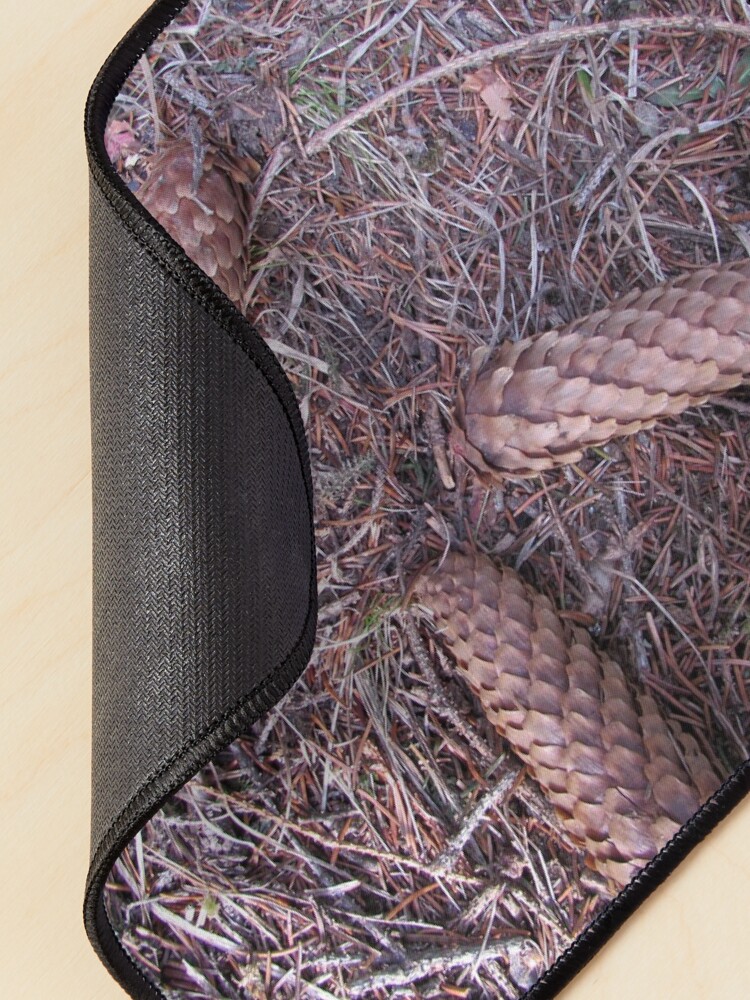 Alternate view of Three brothers on a forest Mouse Pad