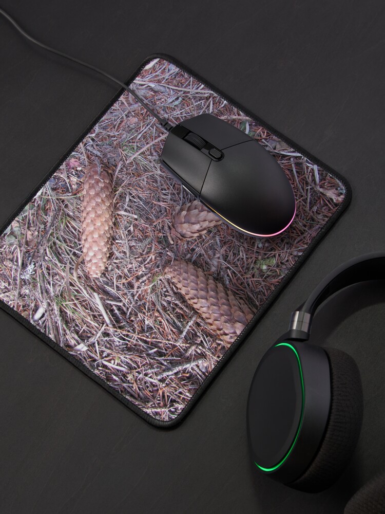 Alternate view of Three brothers on a forest Mouse Pad