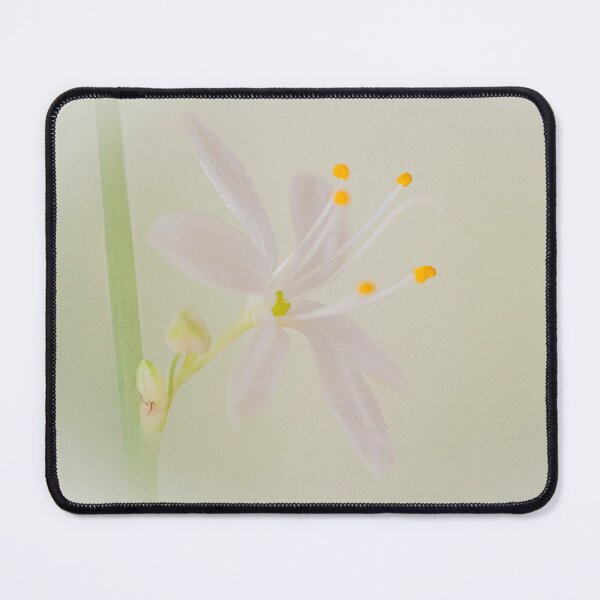 Item preview, Delicate flower designed and sold by iCimages.net.