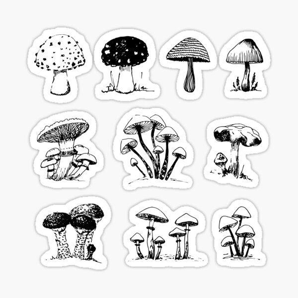 Mushrooms & Frog Sticker