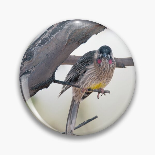 Item preview, Wattlebird on a bough designed and sold by imaginethis.