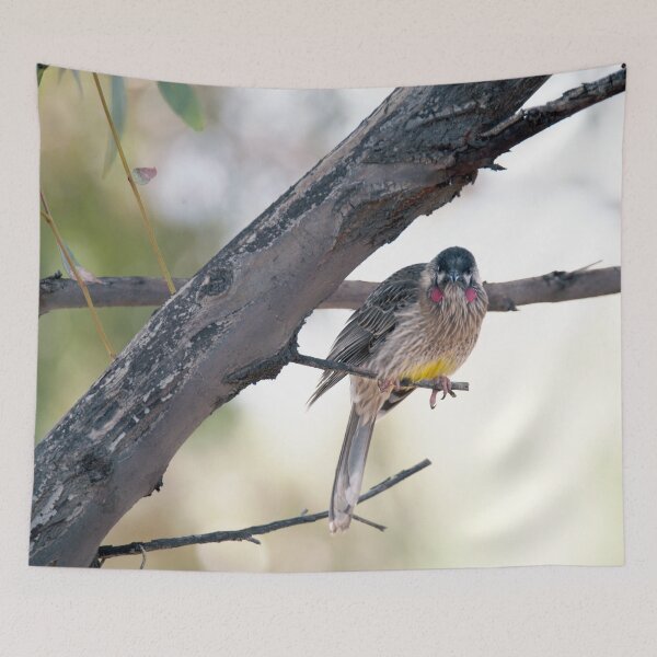 Item preview, Wattlebird on a bough designed and sold by imaginethis.