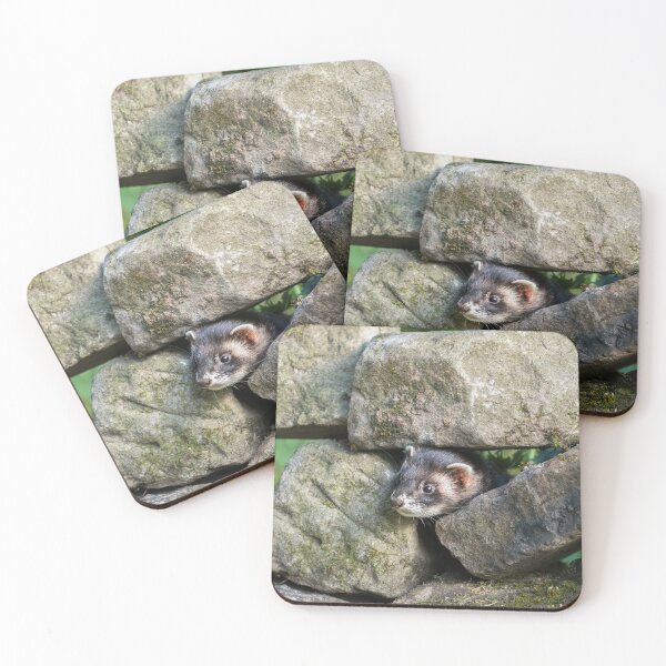 Item preview, Polecat and Stone Wall designed and sold by Jane Stanley Photography.
