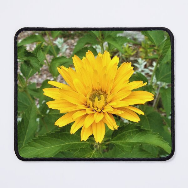 Sun in the Garden Mouse Pad