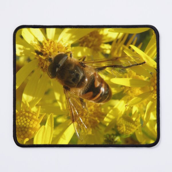 Item preview, Hoverfly and Yellow Wildflowers Macro Photograph designed and sold by naturegallery.